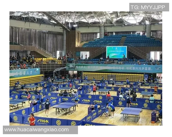 乒乓球的魅力与精神:深入了解成都乒乓球队的训练与文化 乒乓球的魅力与精神:深入了解成都乒乓球队的训练与文化